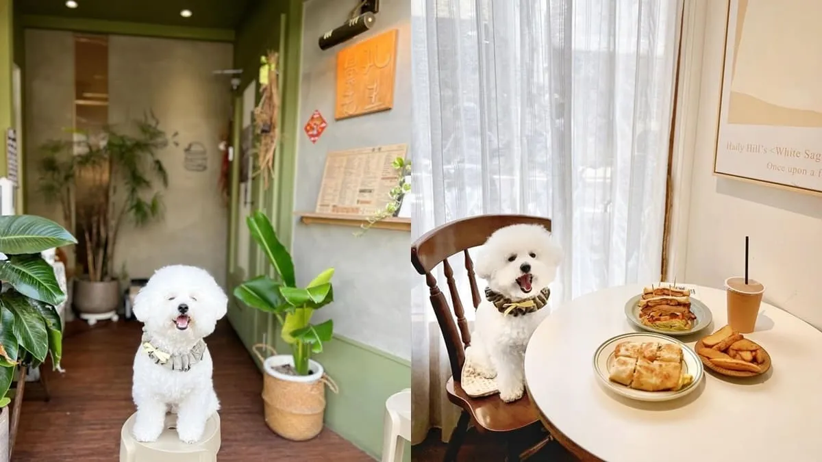 鼻孔先生手作早午餐