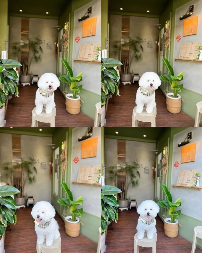 鼻孔先生手作早午餐