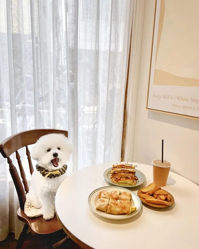 鼻孔先生手作早午餐