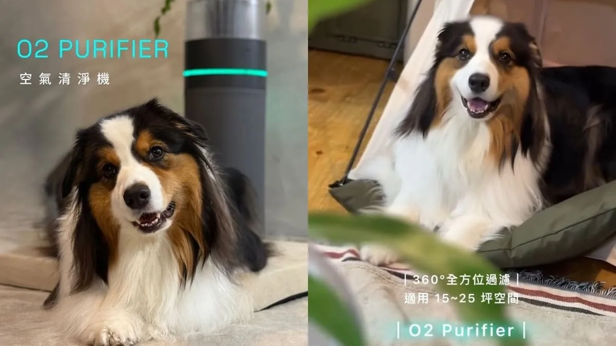 O2 Purifier空氣清淨機