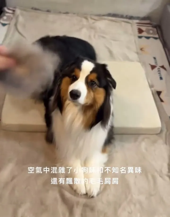 O2 Purifier空氣清淨機