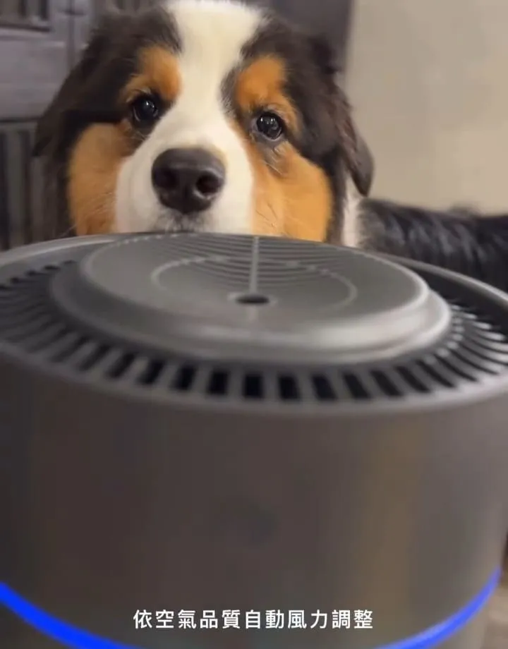O2 Purifier空氣清淨機