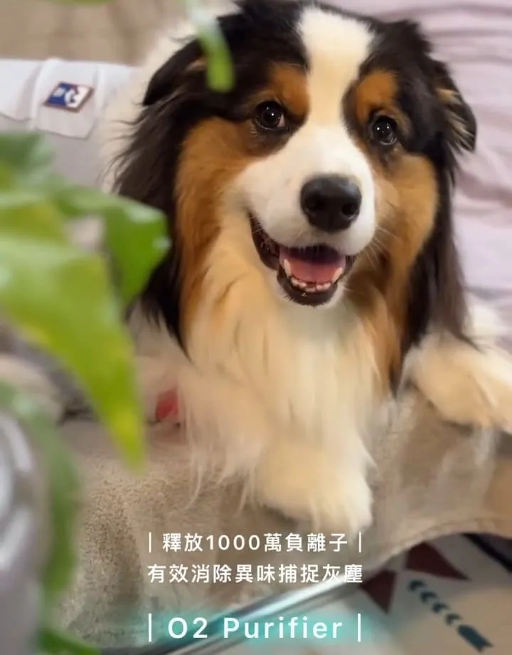 O2 Purifier空氣清淨機