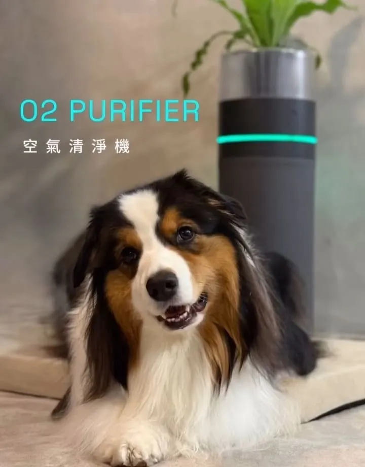 O2 Purifier空氣清淨機