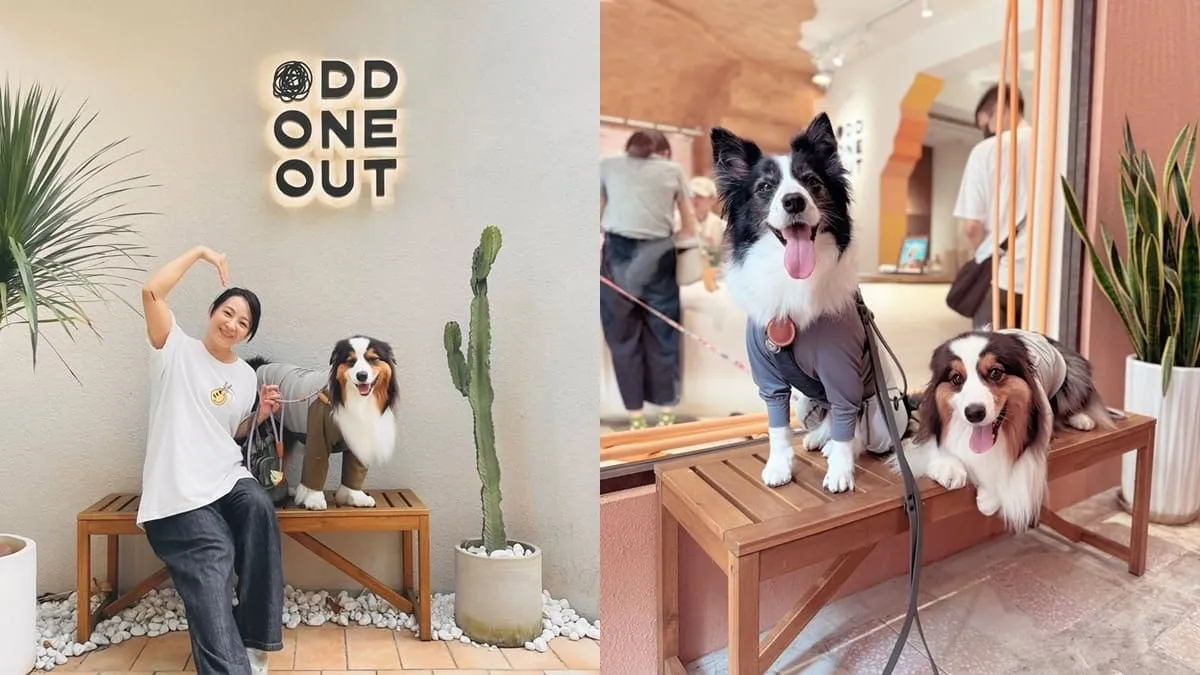 Odd One Out Tea 敦南概念店
