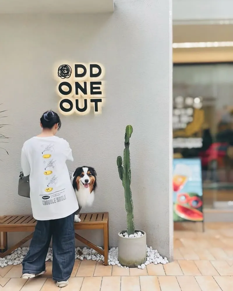 Odd One Out Tea 敦南概念店
