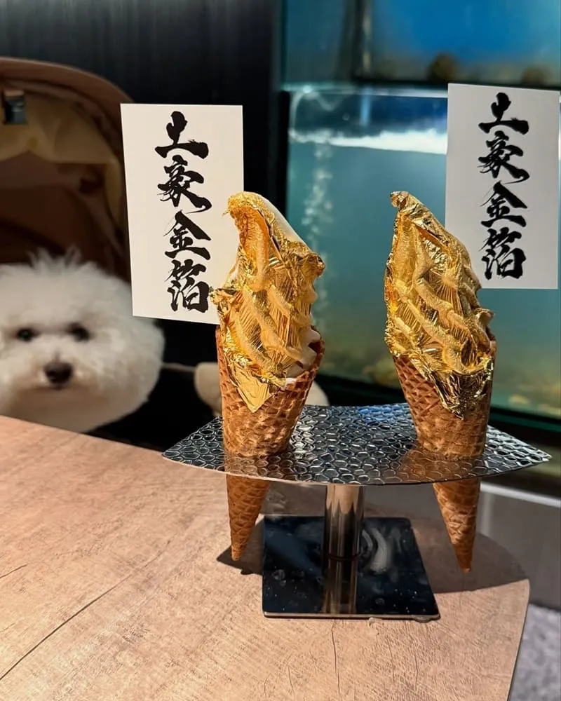山上走走日式無菜單海鮮鍋物華山店