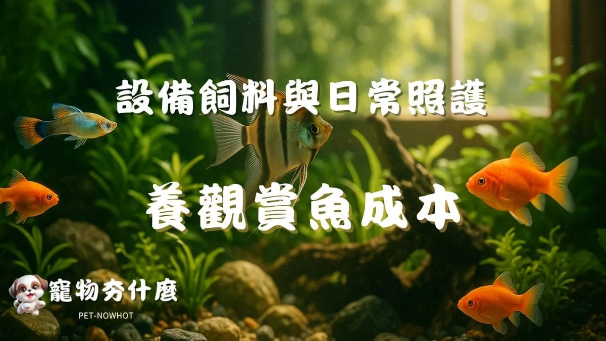 養觀賞魚成本解析