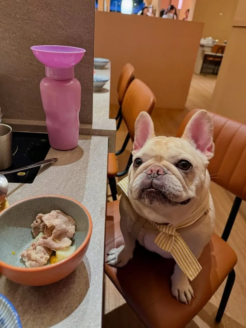 月團圓雞湯火鍋台中美術園道店