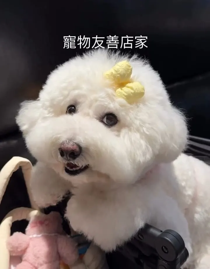 派大鮮精緻鍋物