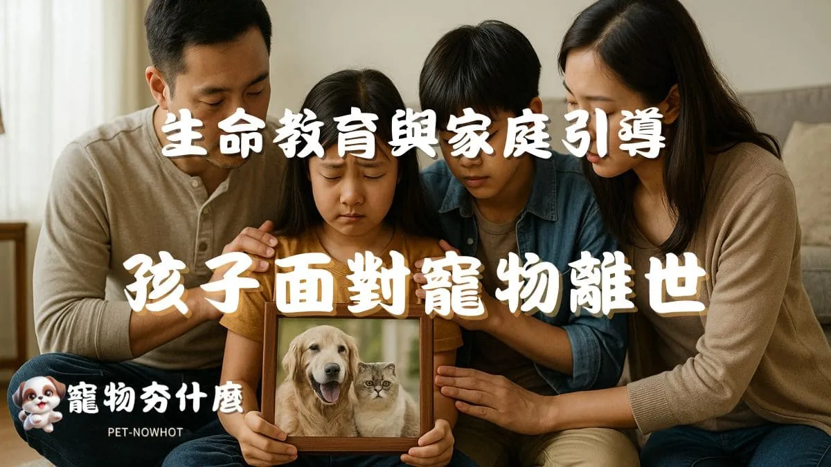 孩子面對寵物離世
