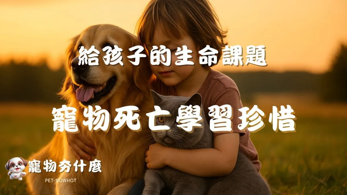 從寵物死亡學習珍惜與告別