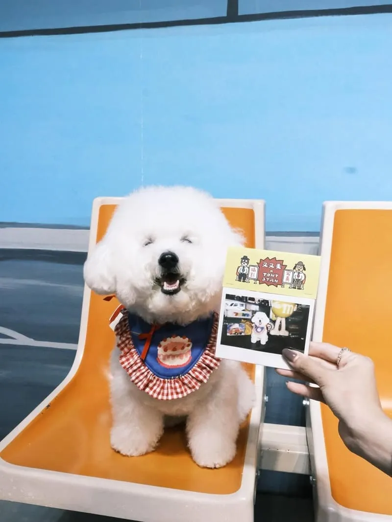 台南又又美FotoShop
