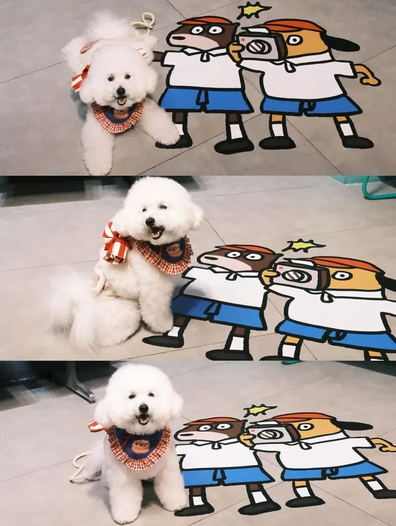 台南又又美FotoShop