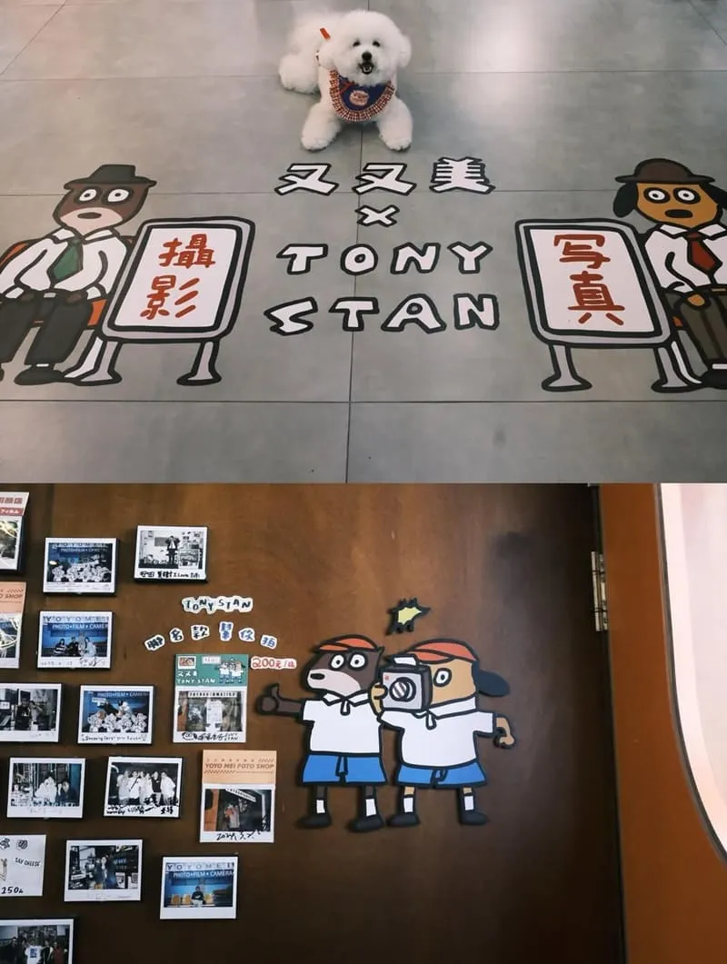 台南又又美FotoShop