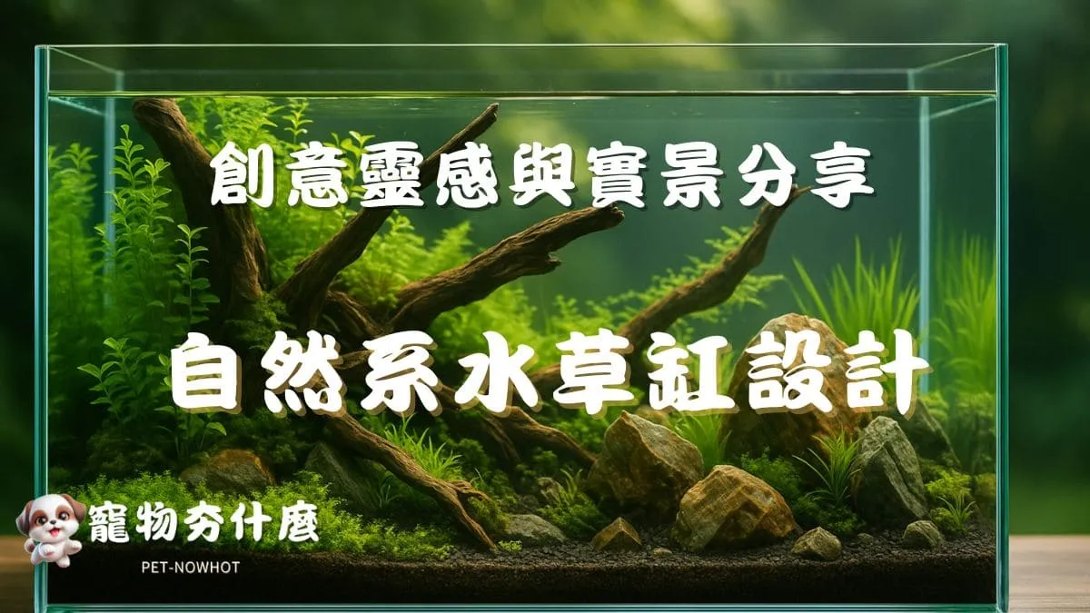 自然系水草缸設計案例解析