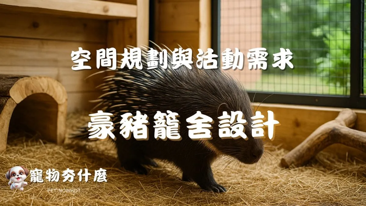 飼養豪豬籠舍設計