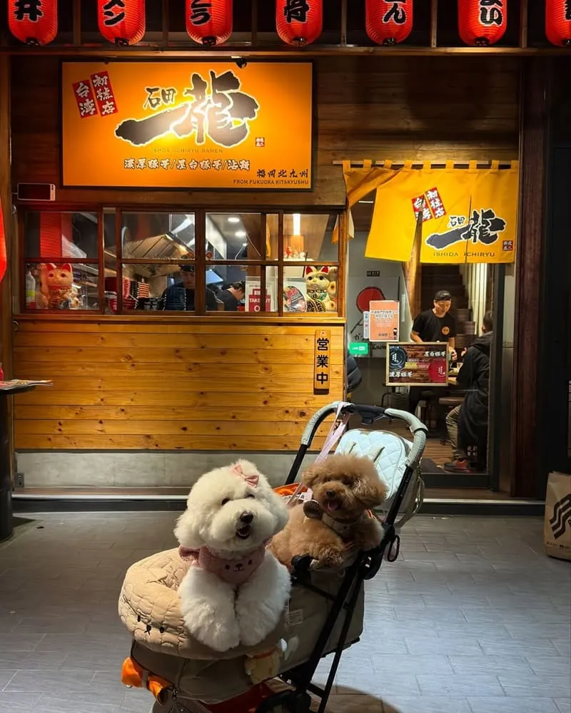 石田一龍拉麵台灣初號店