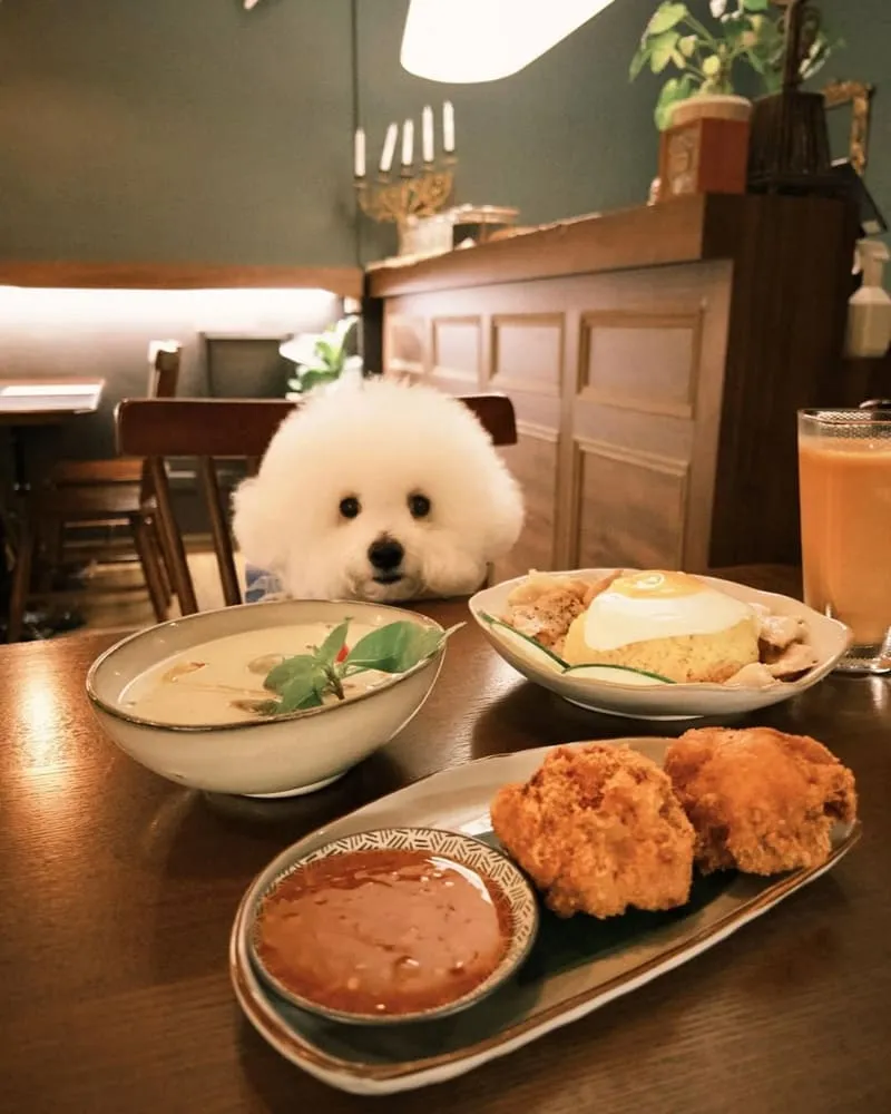 SALUSABA泰式料理