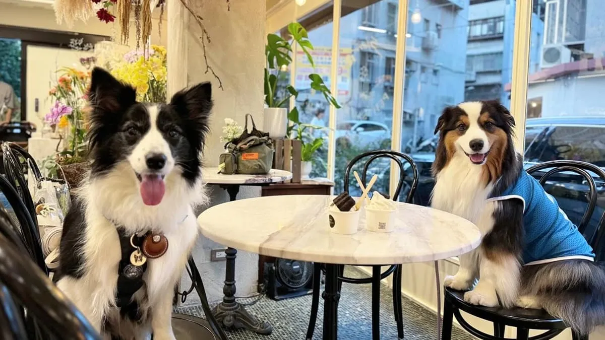 小山姆六張犁本店