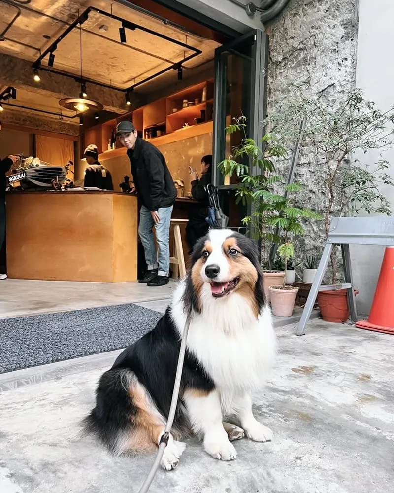 SAND COFFEE咖啡廳