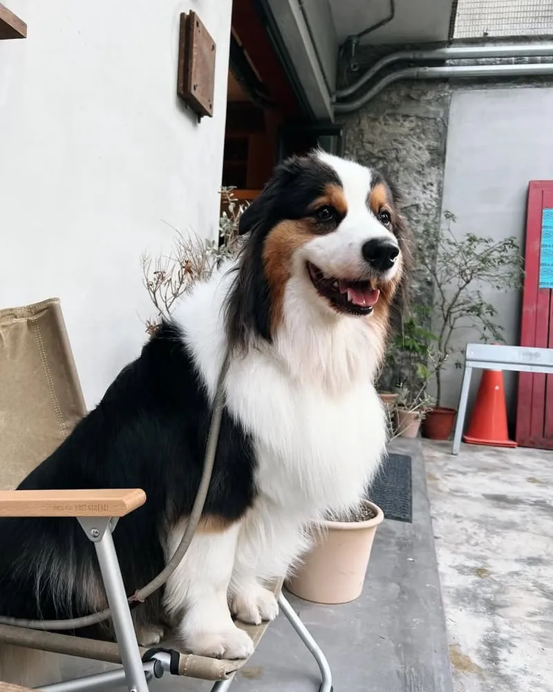 SAND COFFEE咖啡廳