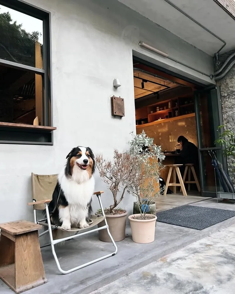 SAND COFFEE咖啡廳