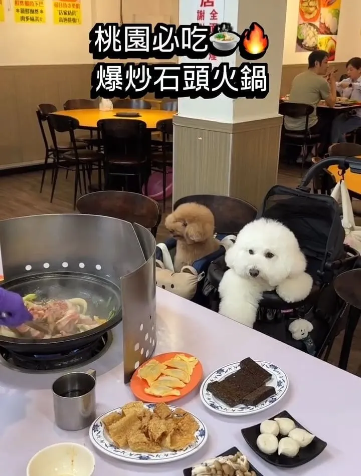 桃園三好美平價火鍋