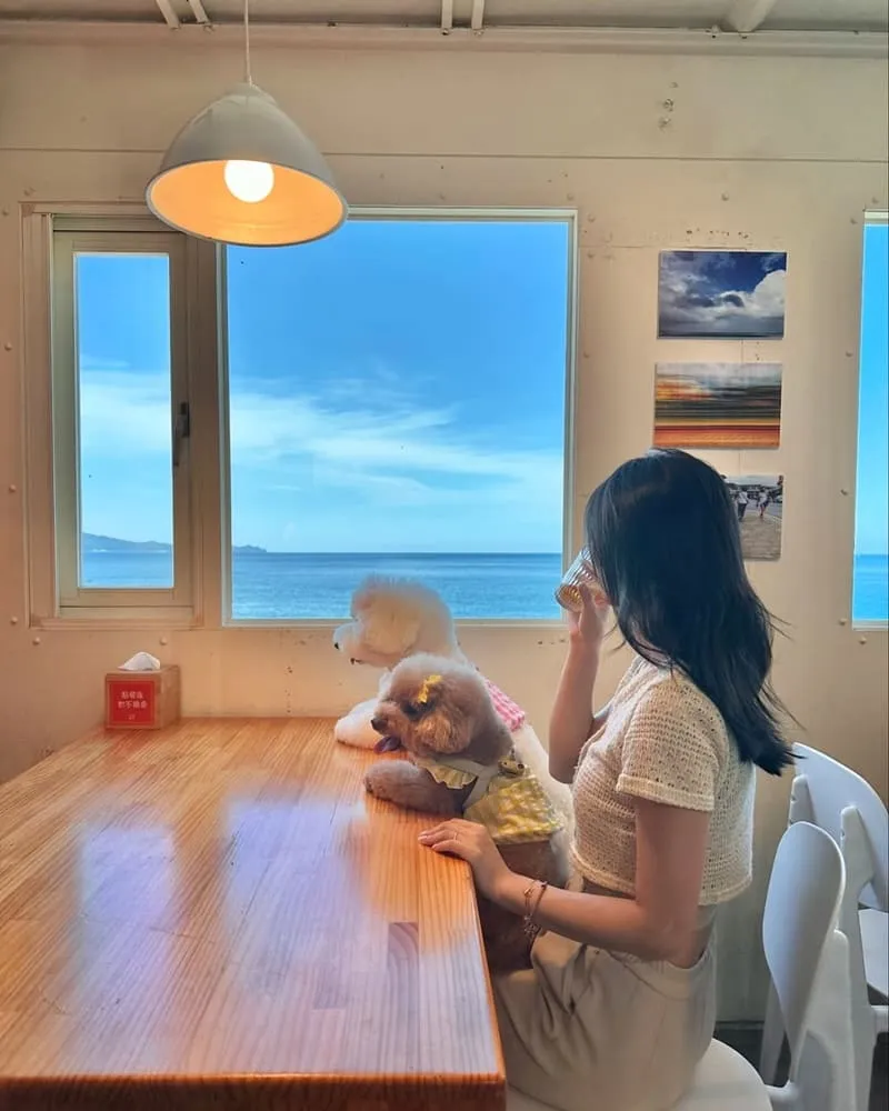 吃飯看海海景餐廳