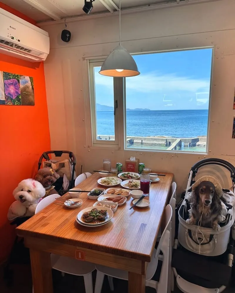 吃飯看海海景餐廳