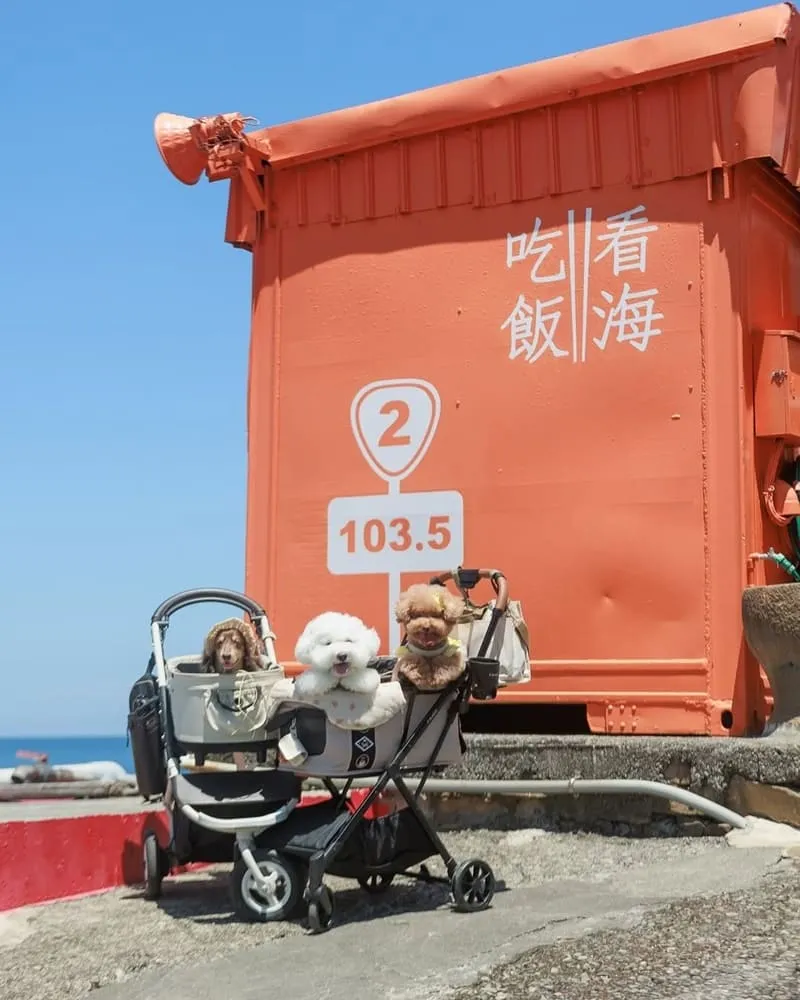 吃飯看海海景餐廳