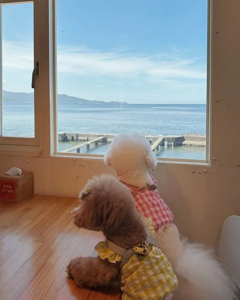 吃飯看海海景餐廳
