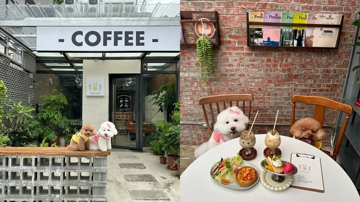 Seiki Cafe 桃園寵物友善咖啡廳