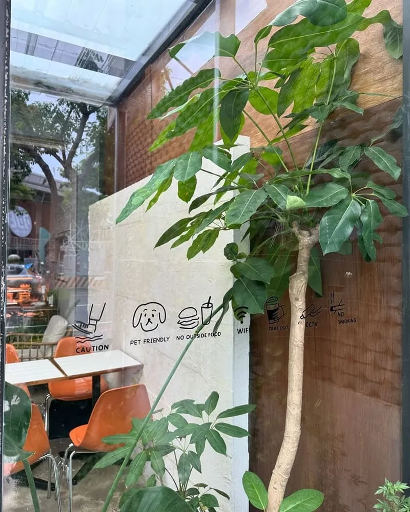 Seiki Cafe 桃園寵物友善咖啡廳
