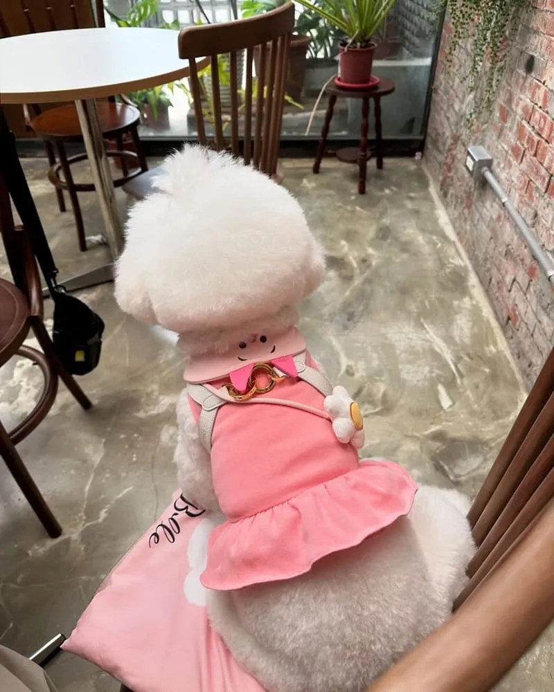Seiki Cafe 桃園寵物友善咖啡廳