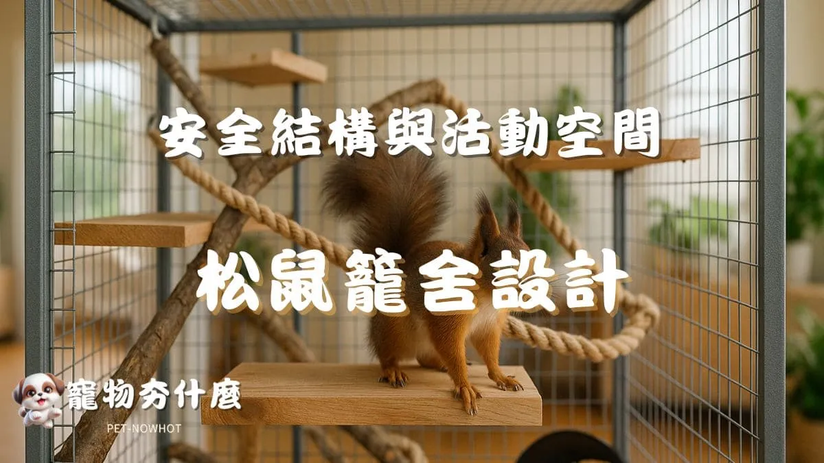松鼠籠舍設計要點