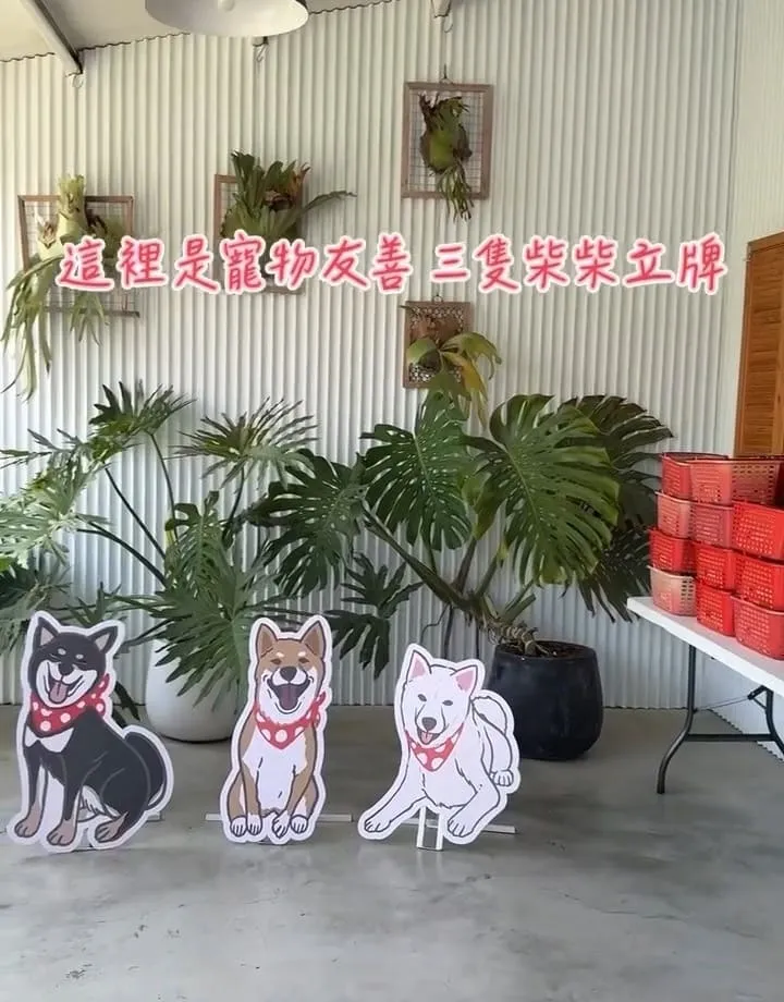 苗栗紅色琉璃瓦草莓園