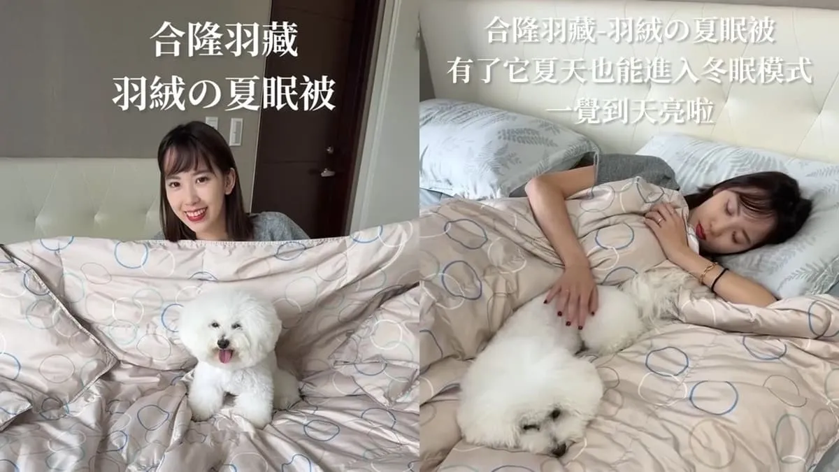 合隆羽藏羽絨の夏眠被