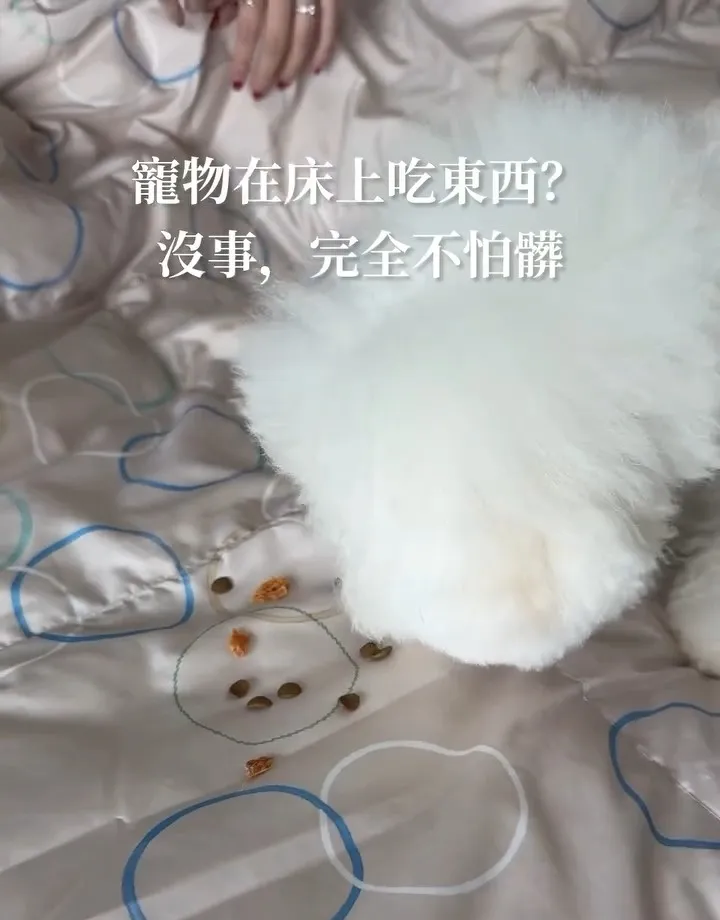 合隆羽藏羽絨の夏眠被