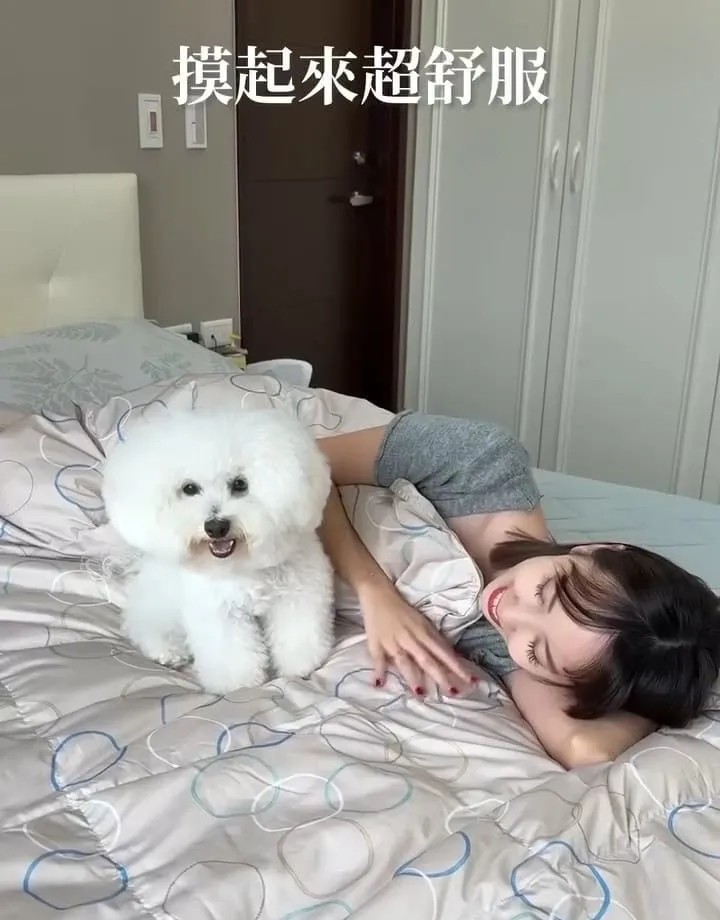 合隆羽藏羽絨の夏眠被