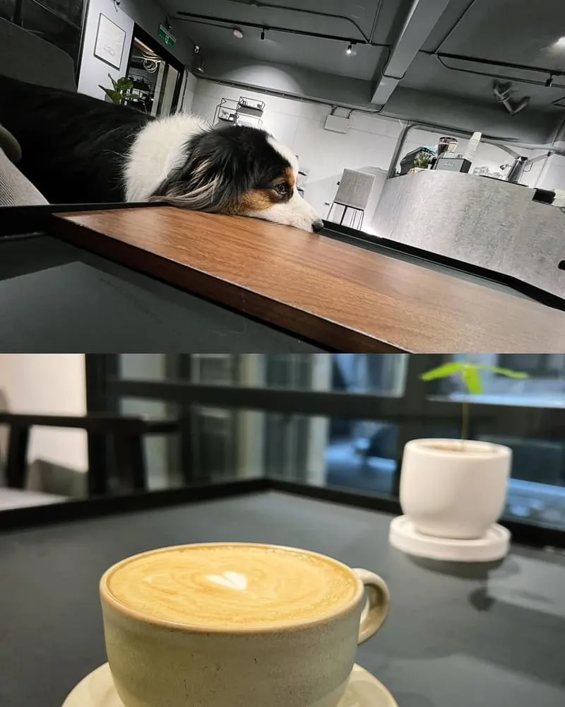 日淬咖啡 Sun Drip Coffee
