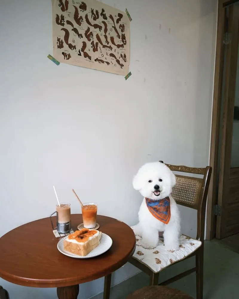 台中西區SOULYA ソヤ咖啡廳