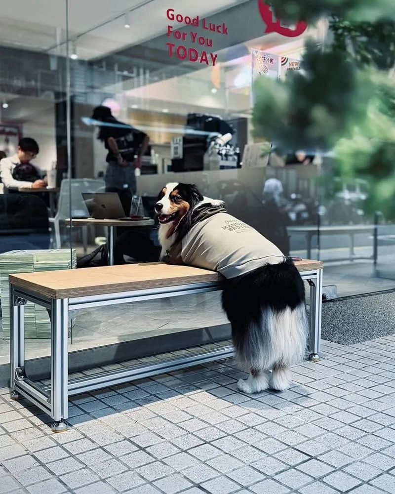 日好商行六張犁茶飲咖啡