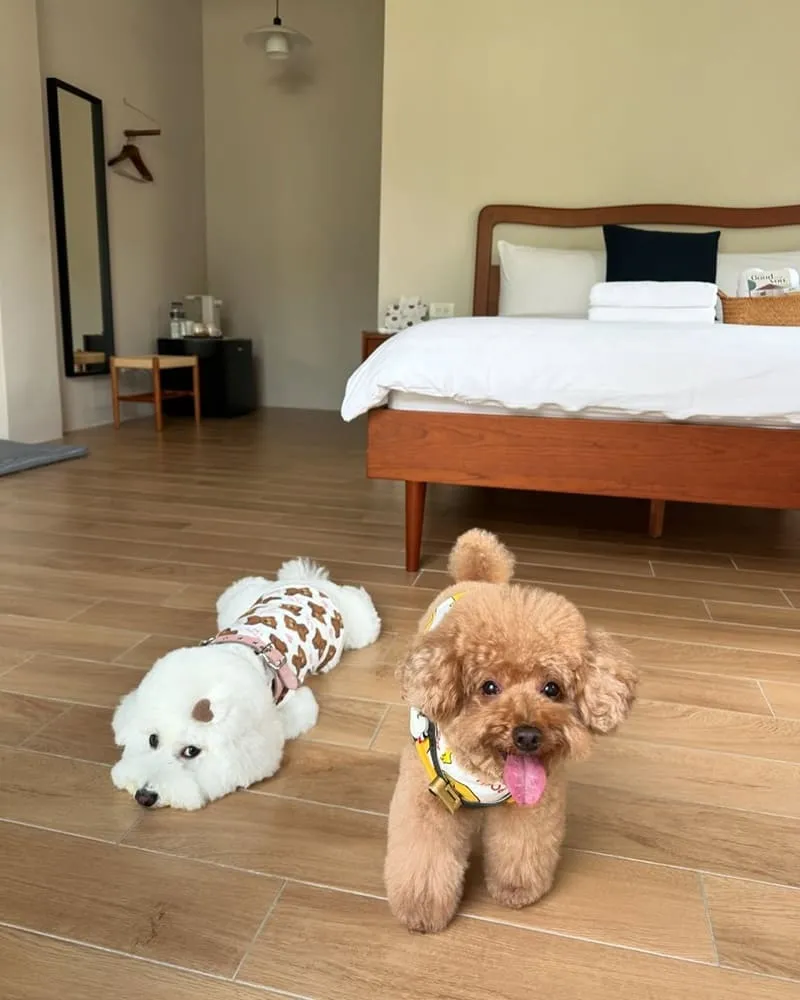 踏踏旅宿 Tak Tak Haus