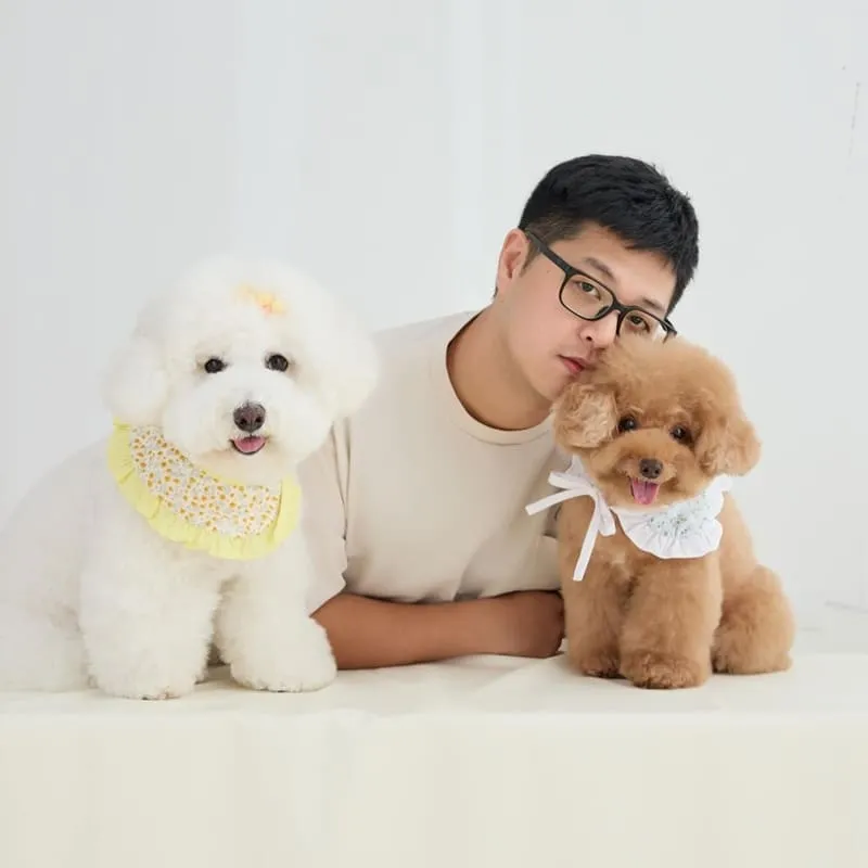 桃園直覺映像寵物全家福