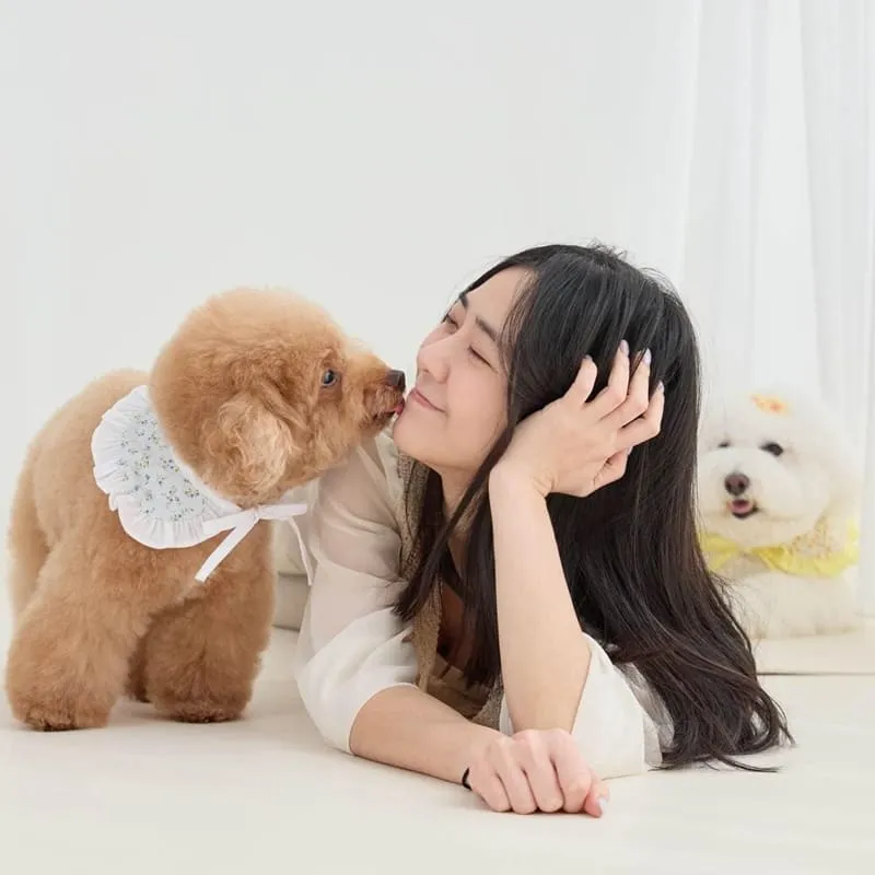 桃園直覺映像寵物全家福