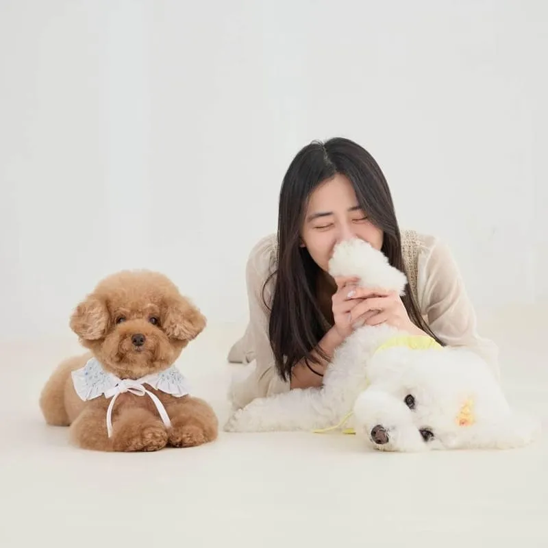 桃園直覺映像寵物全家福