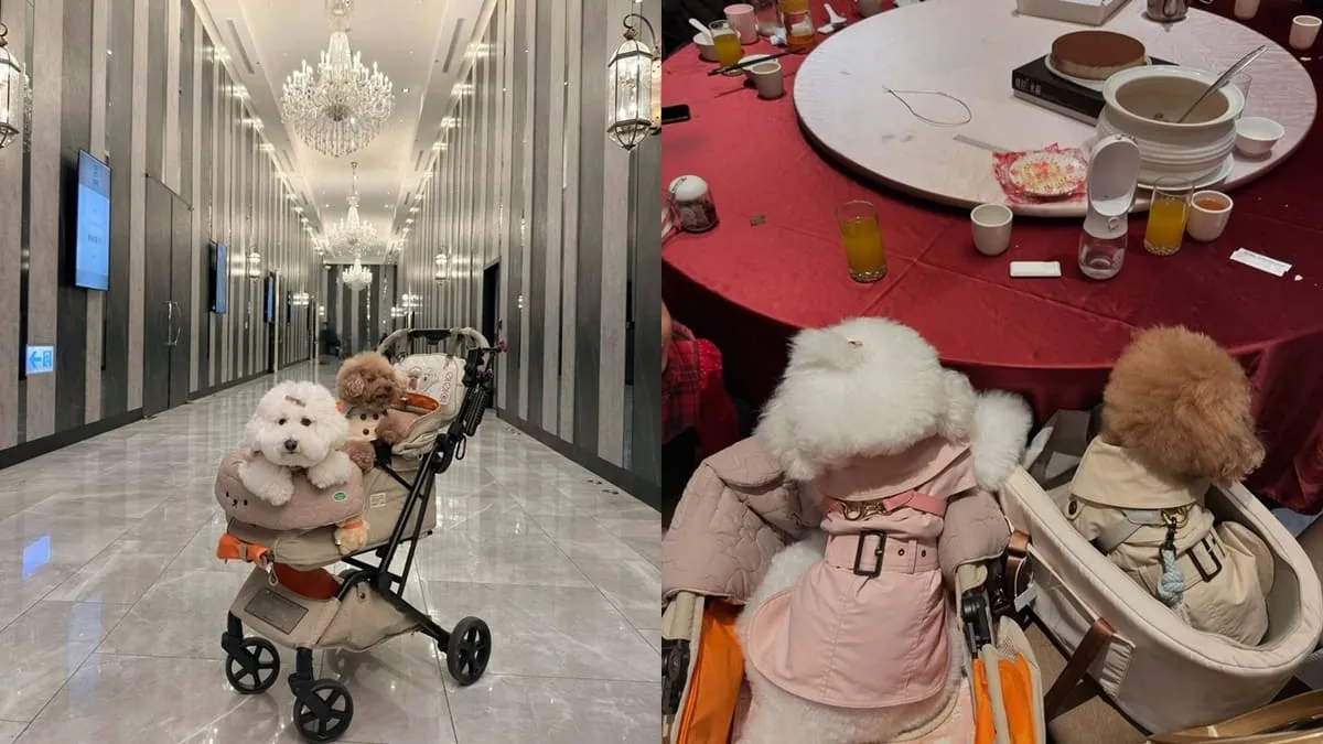 彭園婚宴會館八德館