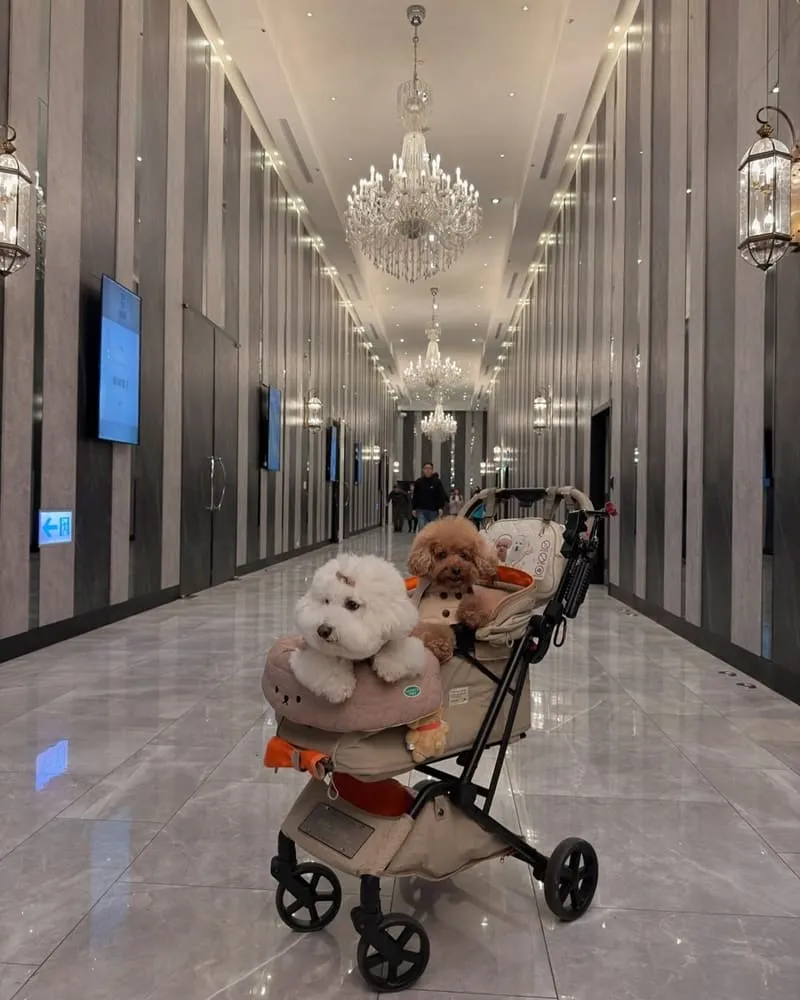彭園婚宴會館八德館