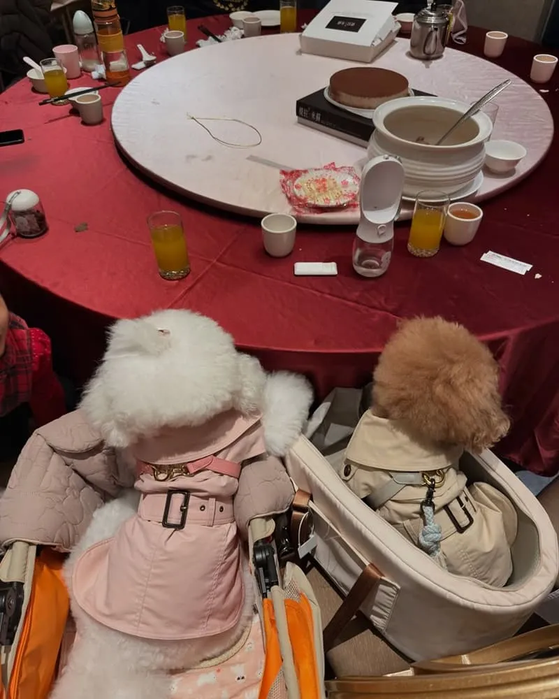 彭園婚宴會館八德館